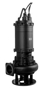 Ebara 65 DL 51.5 W/C