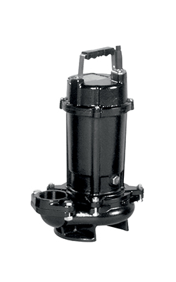 Ebara 50DVS51.5-3